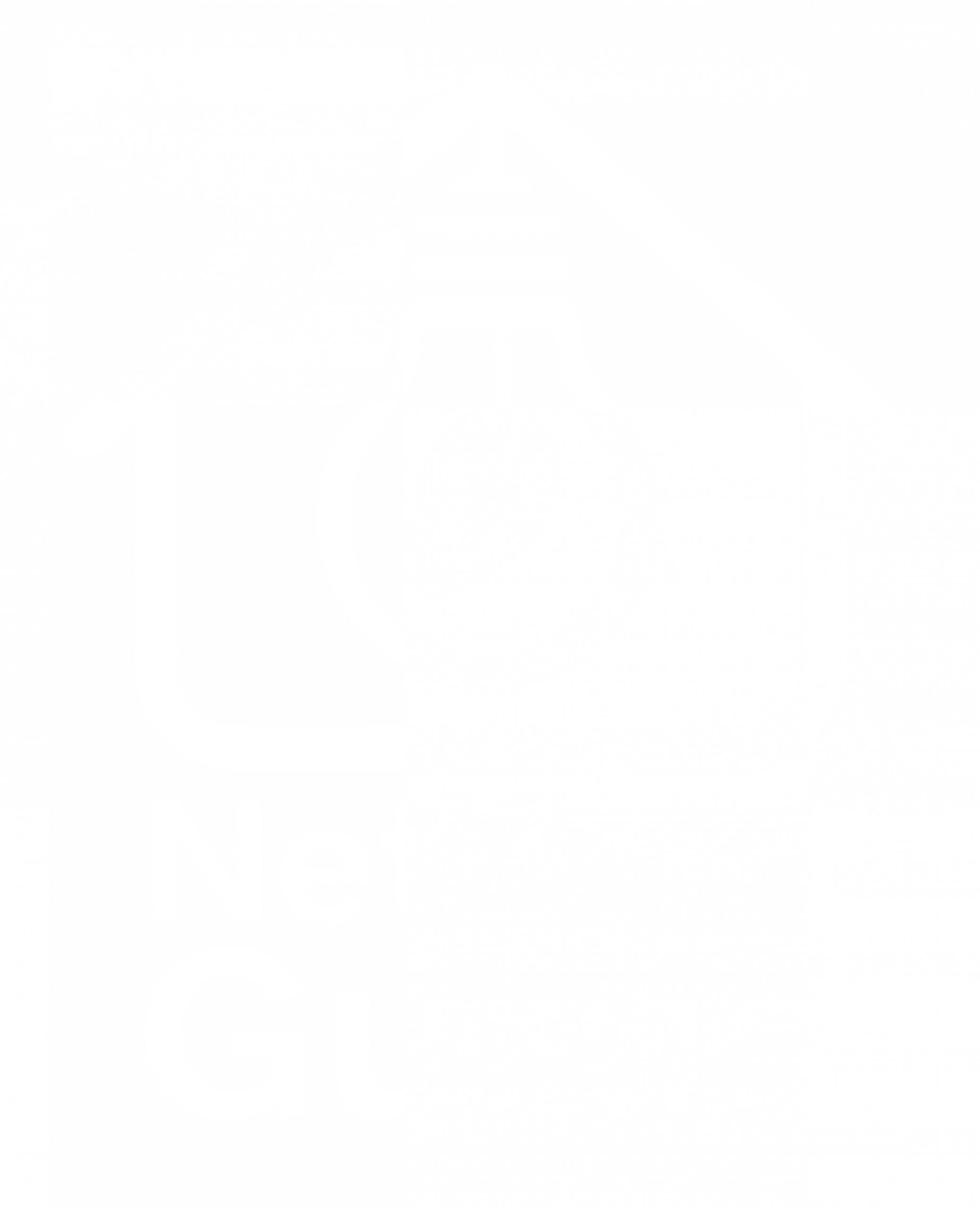 Net Zero Gurus